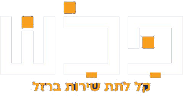ישראל פלינשקי