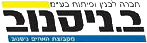 ניסוב בניה