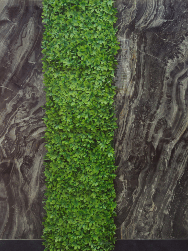 Untitled design - 2025-11-10T150841.149