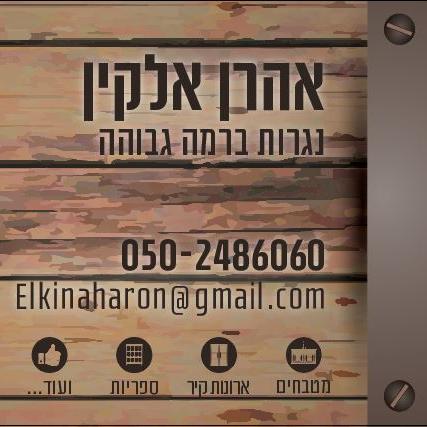 אהרון אלקין